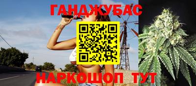 шишки Севастополь