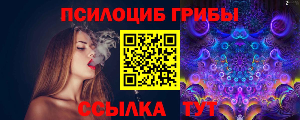 Арзамас  Галлюциногенные грибы прущие грибы  Вход с VPN 